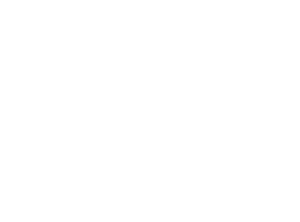 1704935576219038 1704935576219038
