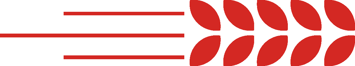 1748941056937043 1748941056937043